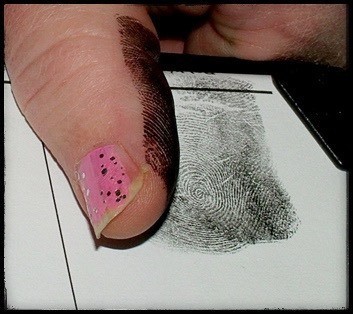 Rabosítás folyamata