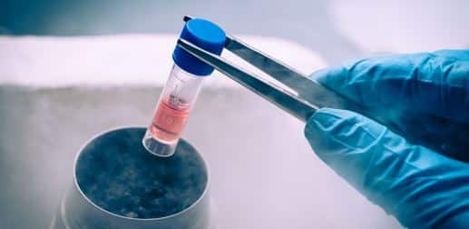 Őssejtterápia bűncselekmény – emberi test tiltott felhasználása