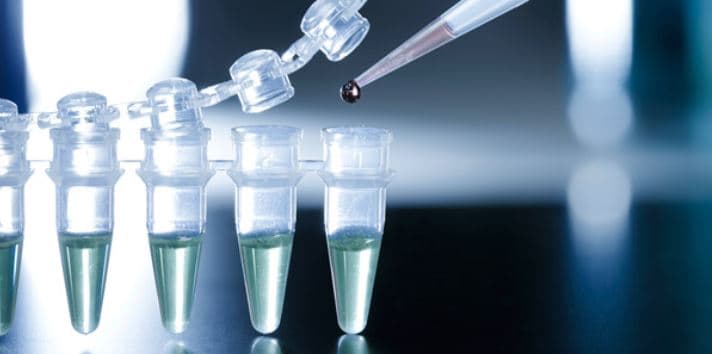 Emberi test tiltott felhasználása – szervkereskedelem bűncselekmény